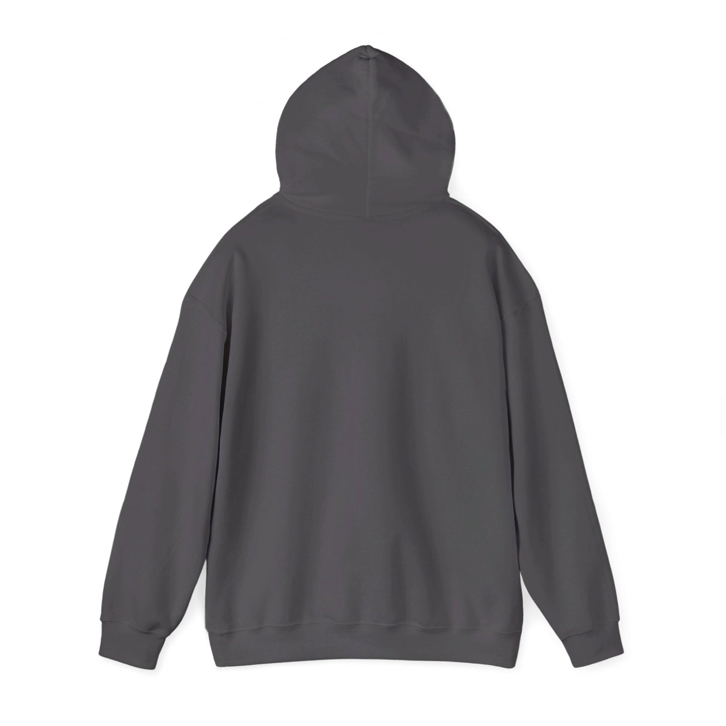 Fidgi-Figs Logo Hooded Sweatshirt