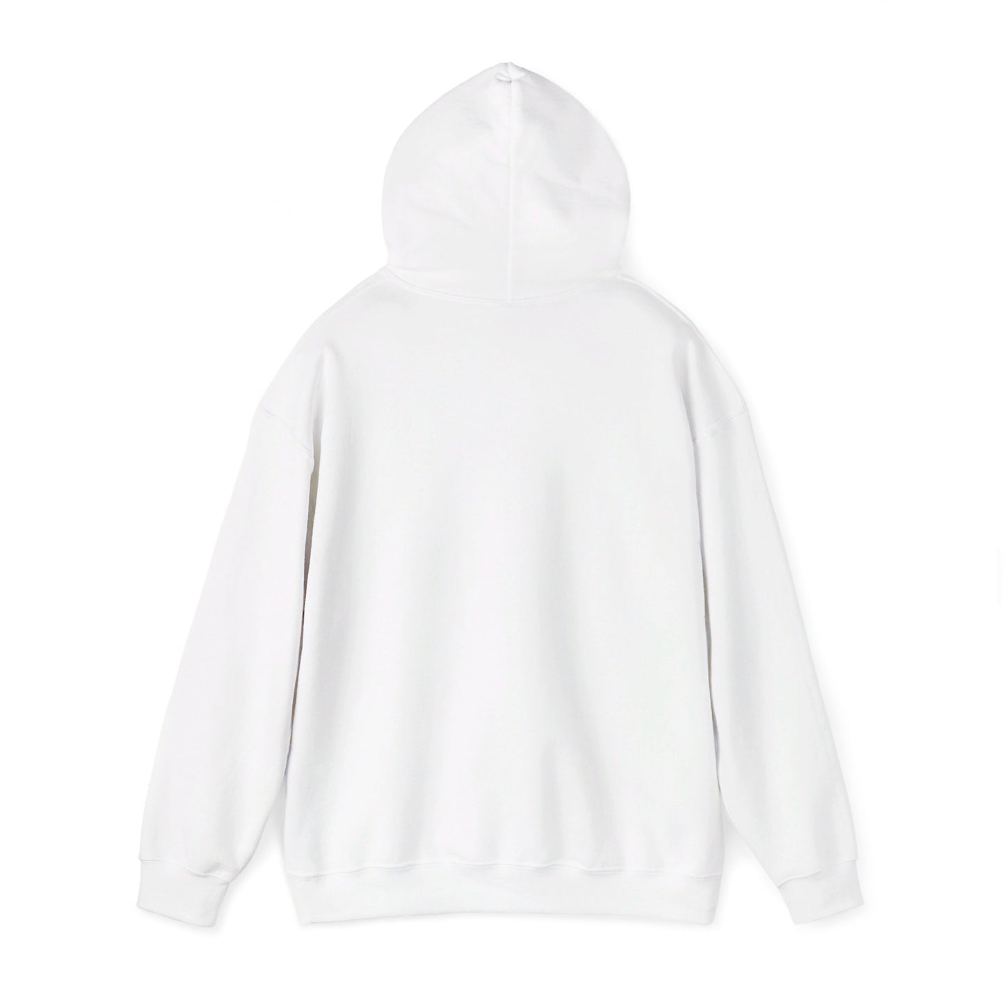 Fidgi-Figs Logo Hooded Sweatshirt