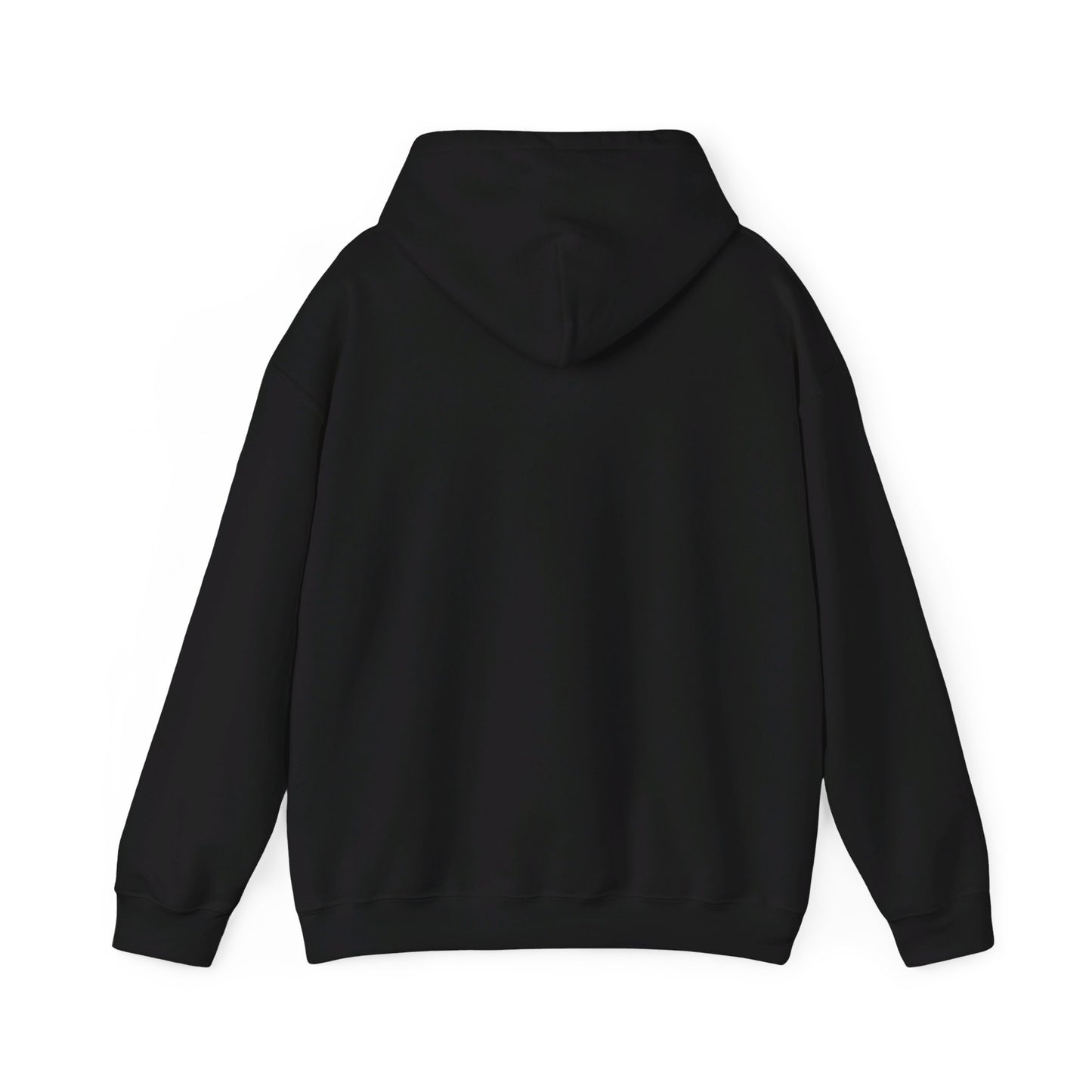 Fidgi-Figs Logo Hooded Sweatshirt