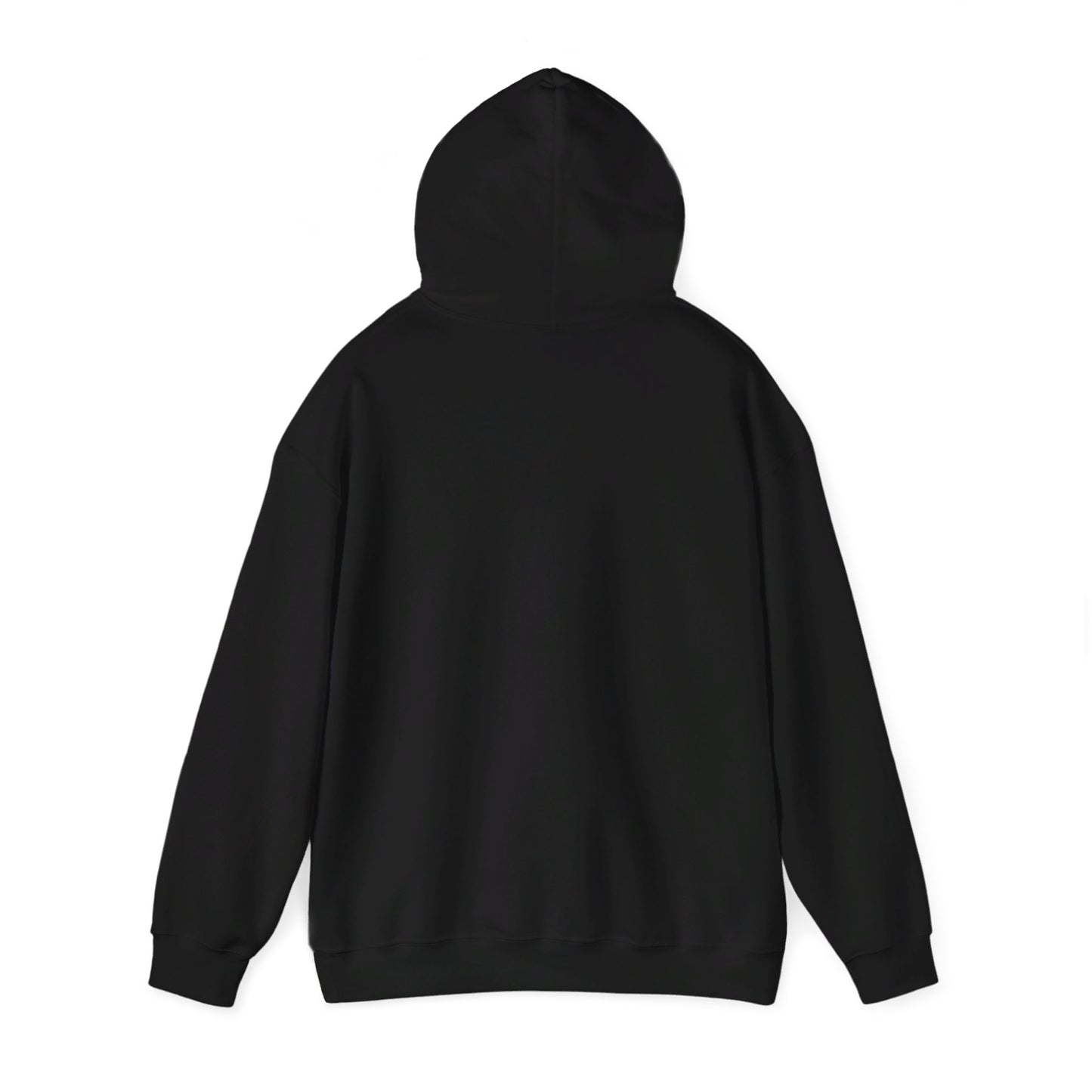 Fidgi-Figs Logo Hooded Sweatshirt